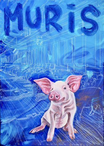 Pig named Muris