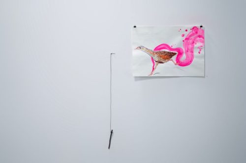 Installation of 'The corncrake does not have a tractor to drive to parliament with' at 'Blackout Extended Edition' exhibition at Platform Arts, Belfast in March 2024