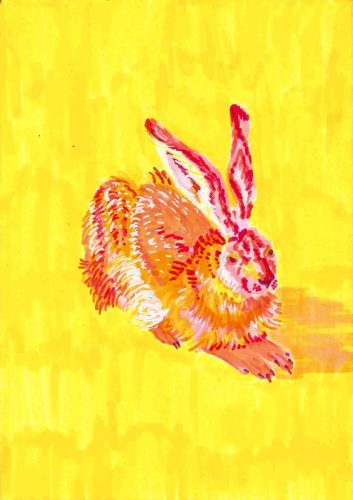 Young hare by Albrecht Durer, 1502